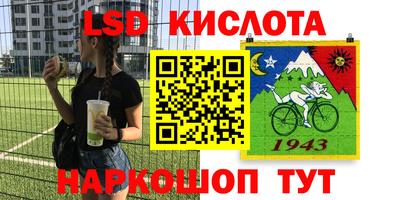 крисы Северобайкальск