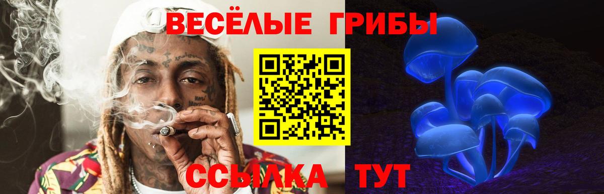 Первоуральск  Псилоцибиновые грибы Psilocybe  Вход с VPN 